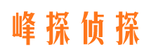 宁南外遇出轨调查取证